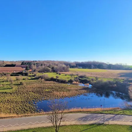 N06-008